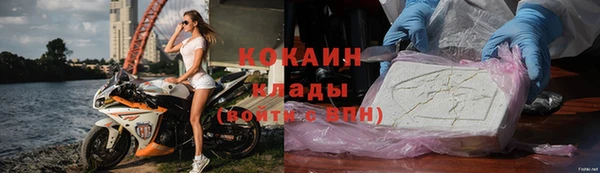 шишки Баксан