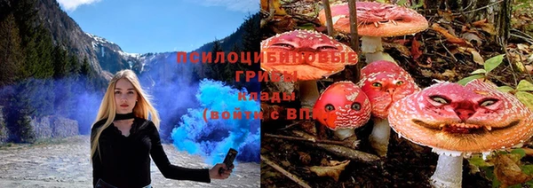 шишки Баксан