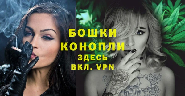 шишки Баксан